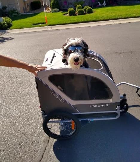 Doggyhut® Original Large Pet Bike Trailer & Stroller 2-in-1,for Dogs up to 78 lbs,Parking Brakes,Easy Folding Cart Frame, Quick Release Wheel, Universal Bicycle Coupler (Blue) customer photo 1