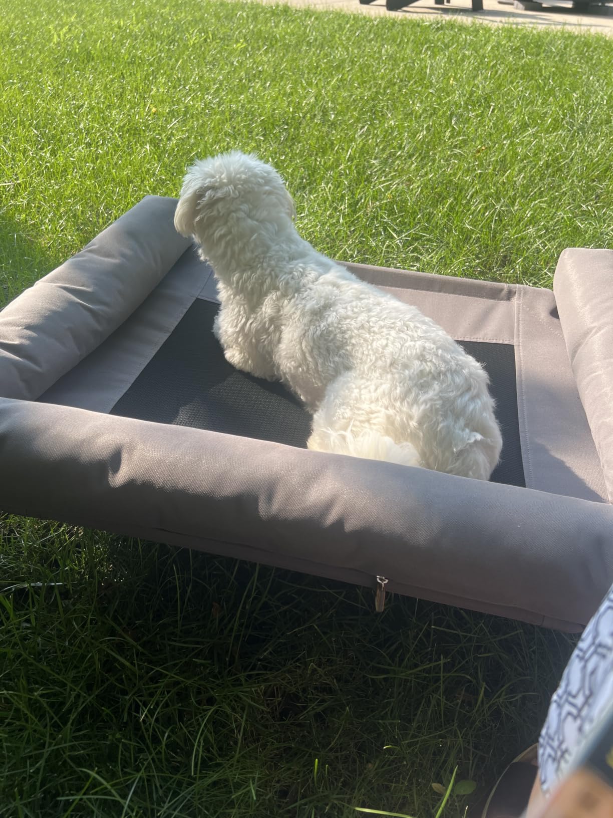 K&H Outdoor Elevated Dog Bed, Bolster Pet Cot, Medium 32x25in, Charcoal customer photo 1