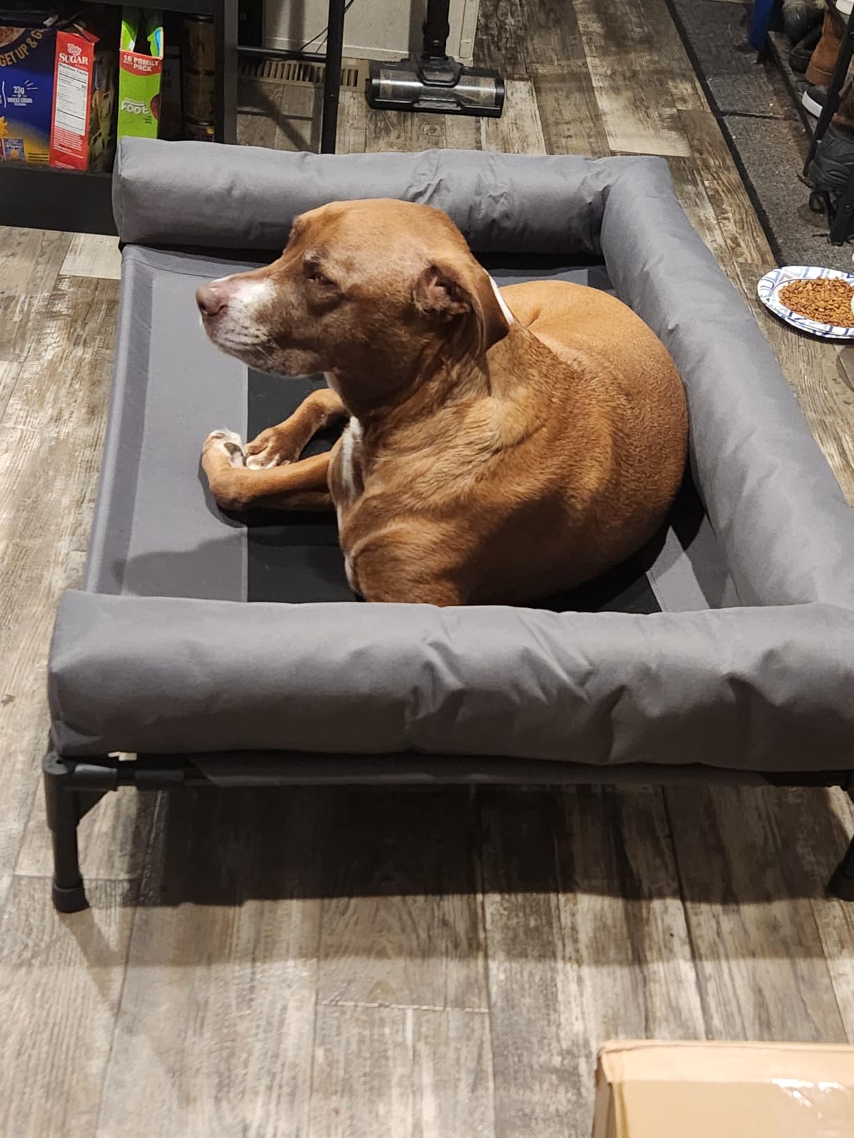 K&H Outdoor Elevated Dog Bed, Bolster Pet Cot, Medium 32x25in, Charcoal customer photo 2