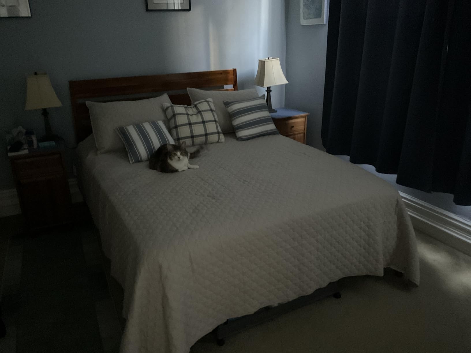 HORIMOTE HOME Quilt Queen Size Aqua Blue, Lightweight Quilt for Summer Ultra-Soft Microfiber Modern Style Quilted Clouds Pattern Bedspread Quit Set 3 Pieces customer photo 2