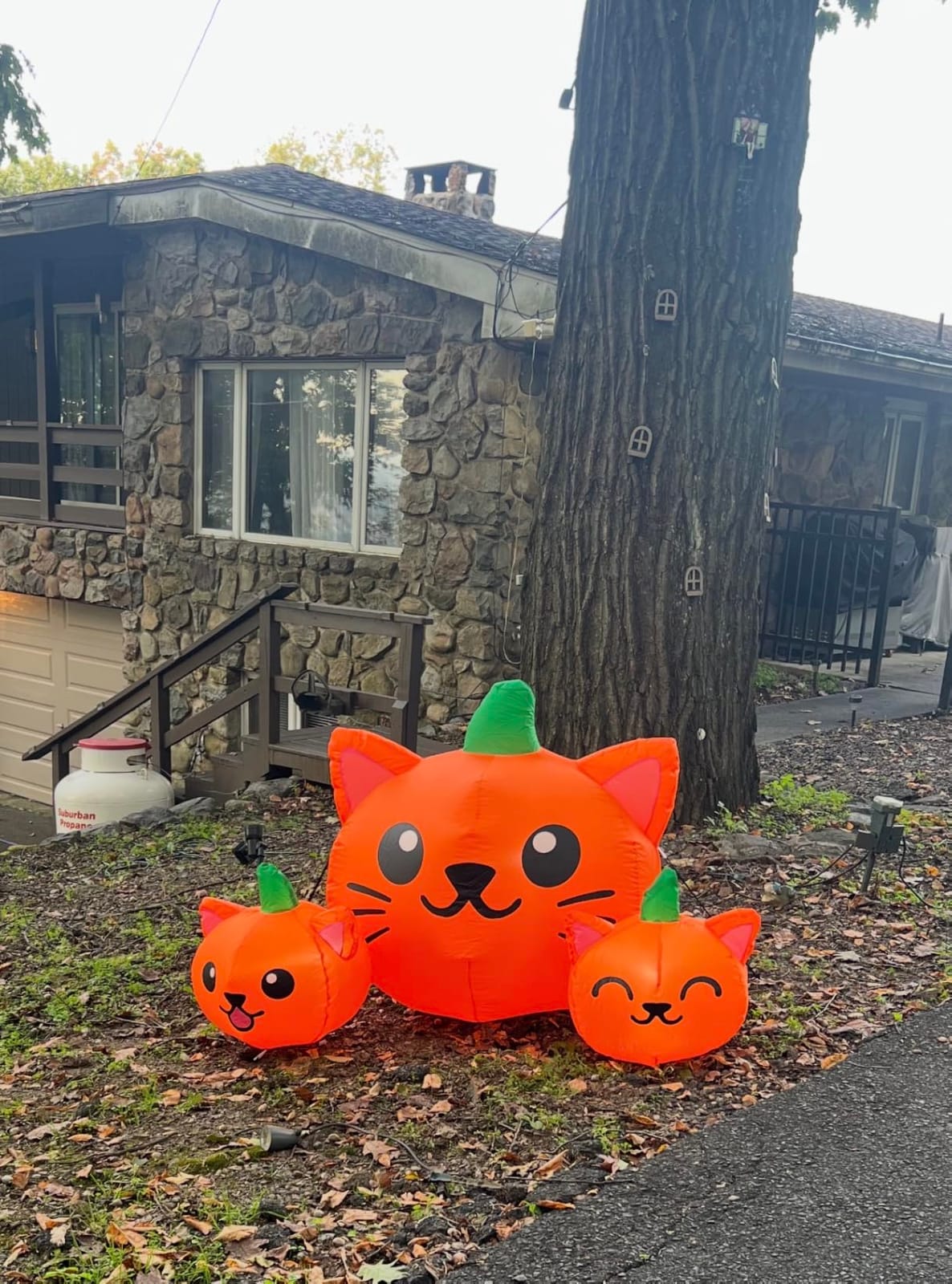 COMIN Halloween Inflatable 5FT Long Three Pumpkin Cat Head Combo with Built-in LEDs, Blow Up Yard Decoration for Holiday Party Indoor, Outdoor, Yard, Garden, Lawn customer photo 1