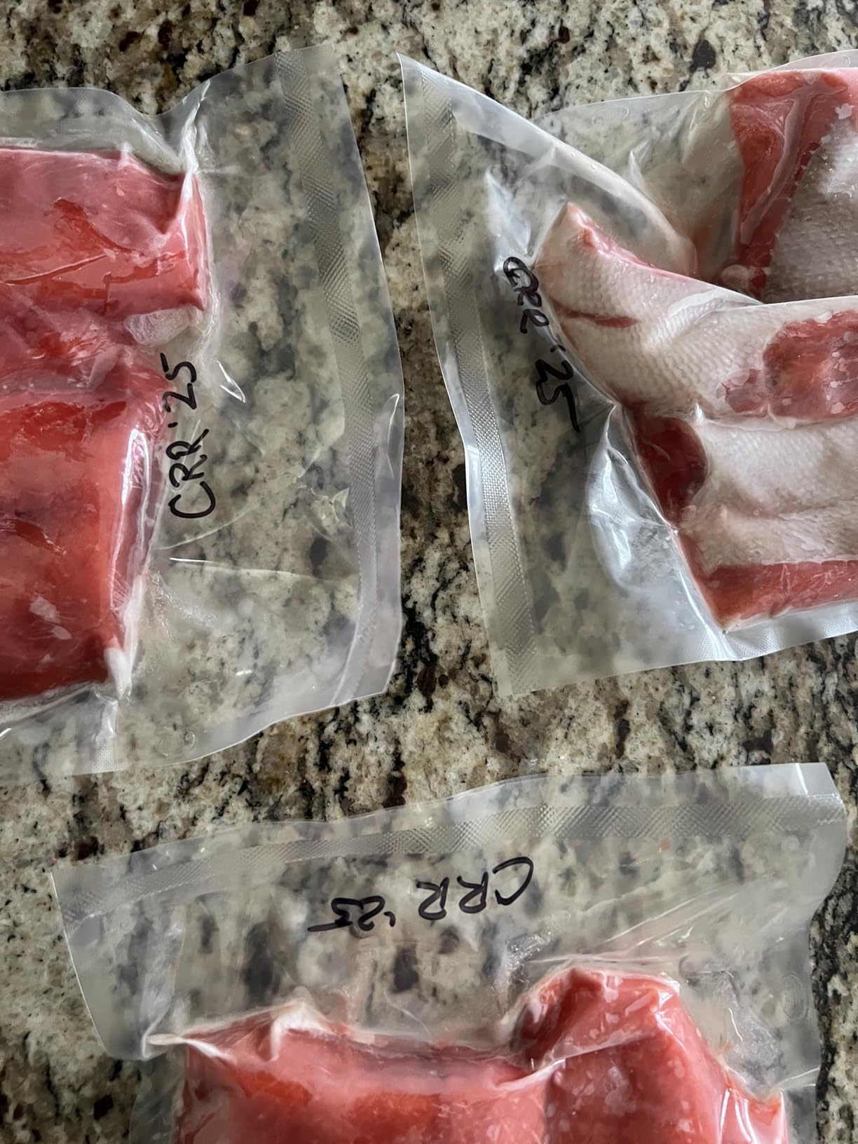 VEVOR Chamber Vacuum Sealer 260W Sealing Power 10.2 Inch Sealing Length customer photo 2