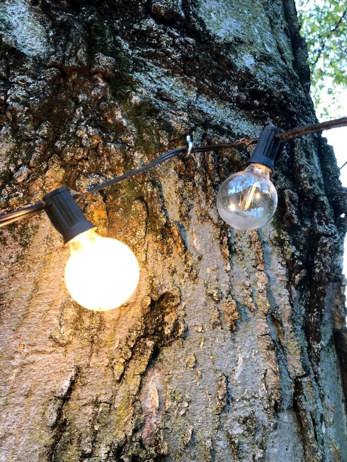 C9 Led Christmas String Lights 68Ft 100 LED with All in One Clips Outdoor Waterproof Strawberry Roof Lights, Commercial Grade Extendable for Indoor Outside Roofline Home Xmas Decoration, Warm White customer photo 2