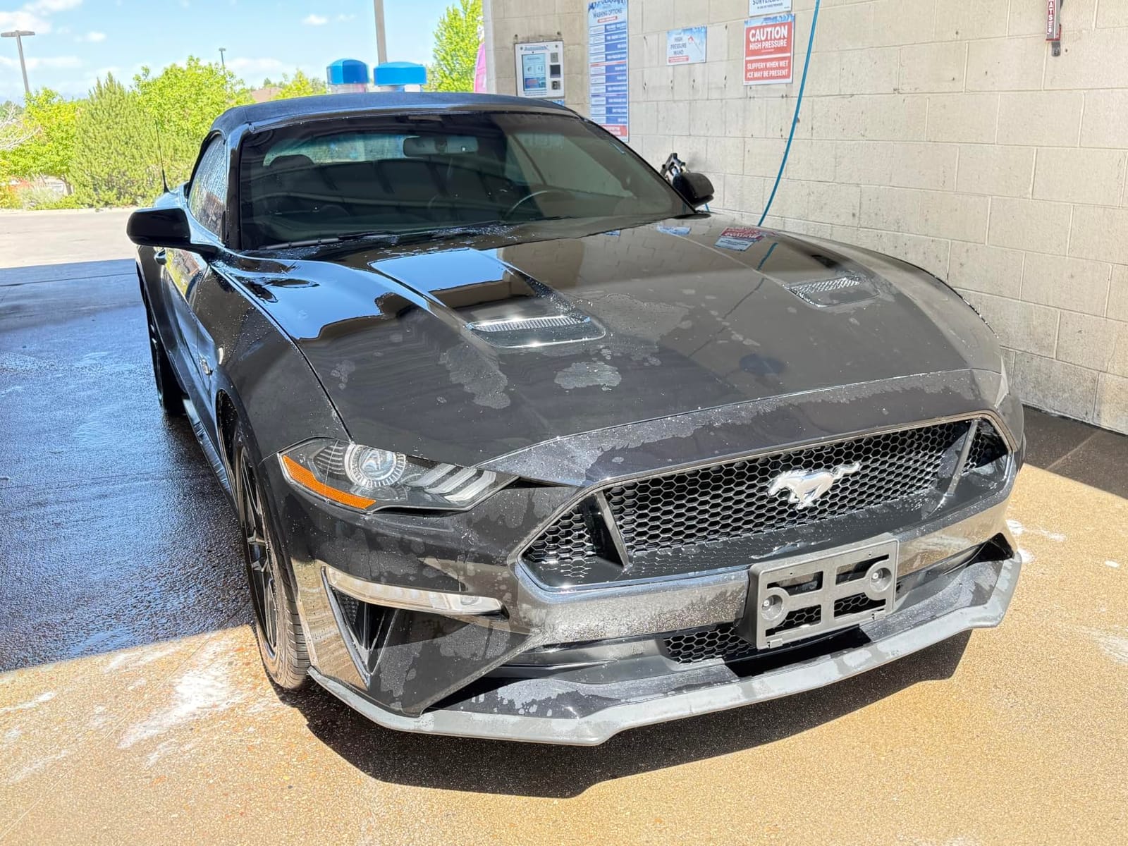 ExoForma Mega Car Drying Towel - Holds Up to 9 lbs, No Streaks, Scratches, or Water Spots | 1200 GSM Microfiber Double Twist Pile & Edgeless Design, 1 Quick & Effortless Dry - 24” x 36” customer photo 2