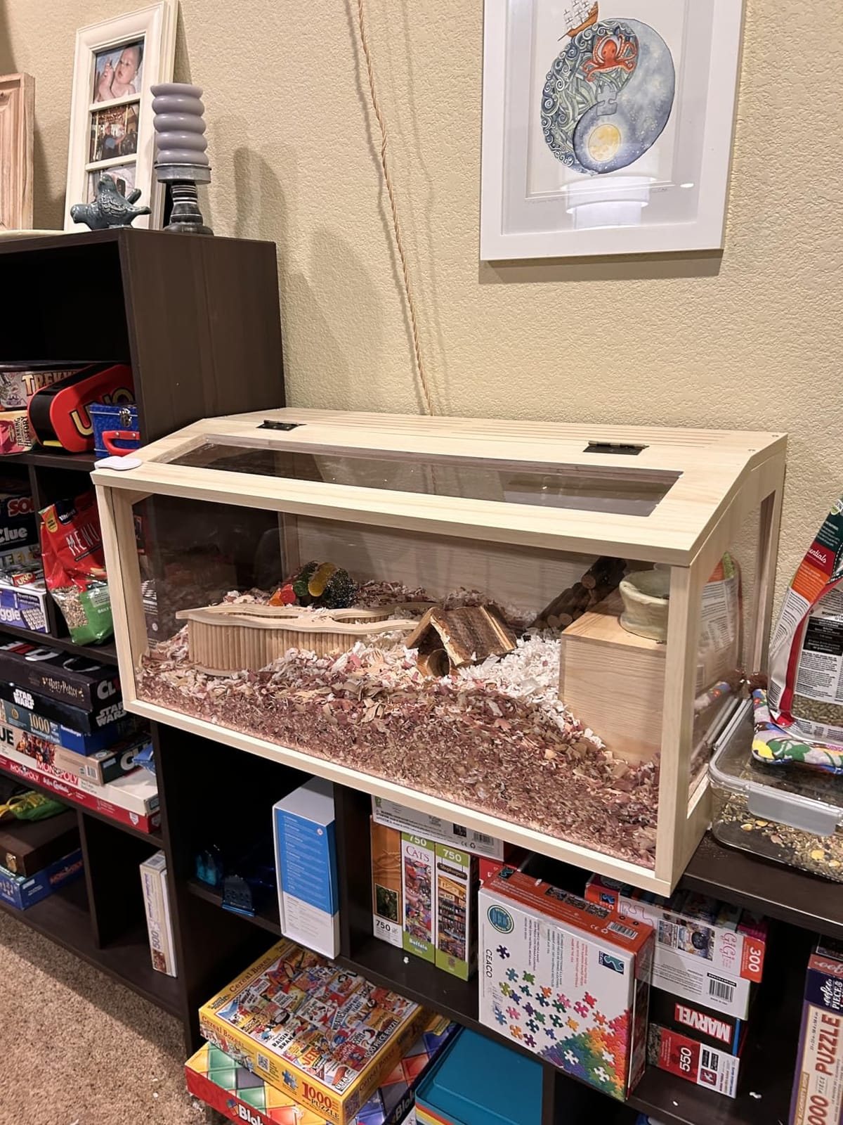 Prolee Hamster Cage Chewproof Wooden 40 Inch Guinea Pig Cages Mice and Rat Habitat Openable Top with Acrylic Sheets Solid Built customer photo 2