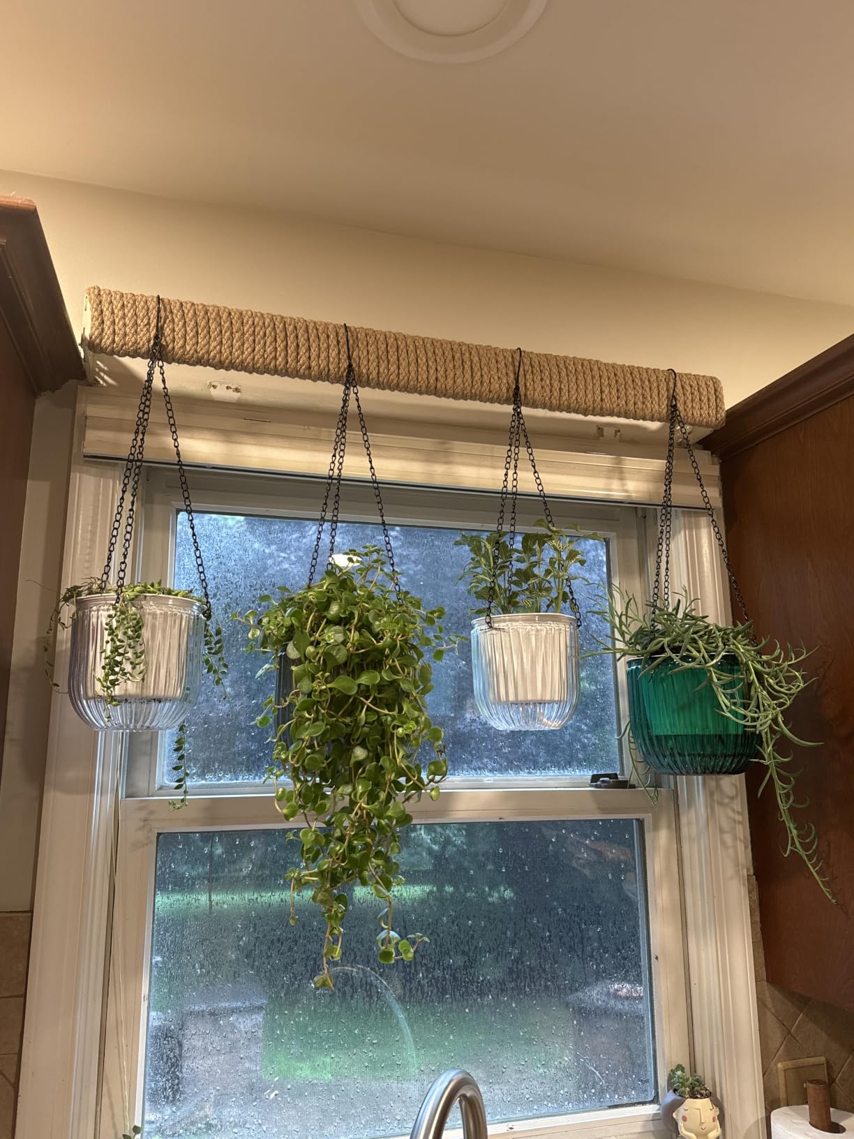 Melphoe 2 Pack Self Watering Hanging Planters Indoor Flower Pots, 6.5 Inch Outdoor Hanging Basket, Plant Hanger with 3Hooks Drainage Holes for Garden Home (Emerald) customer photo 1