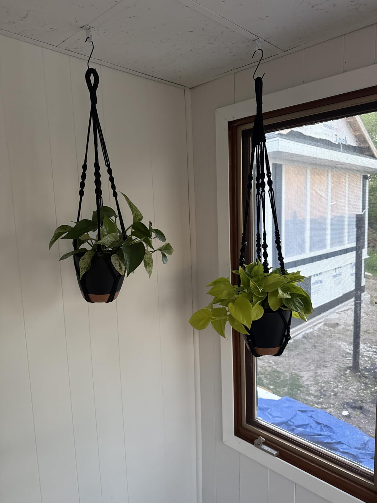 Bouqlife 3 Set Self Watering Hanging Planters for Indoor Plants customer photo 1