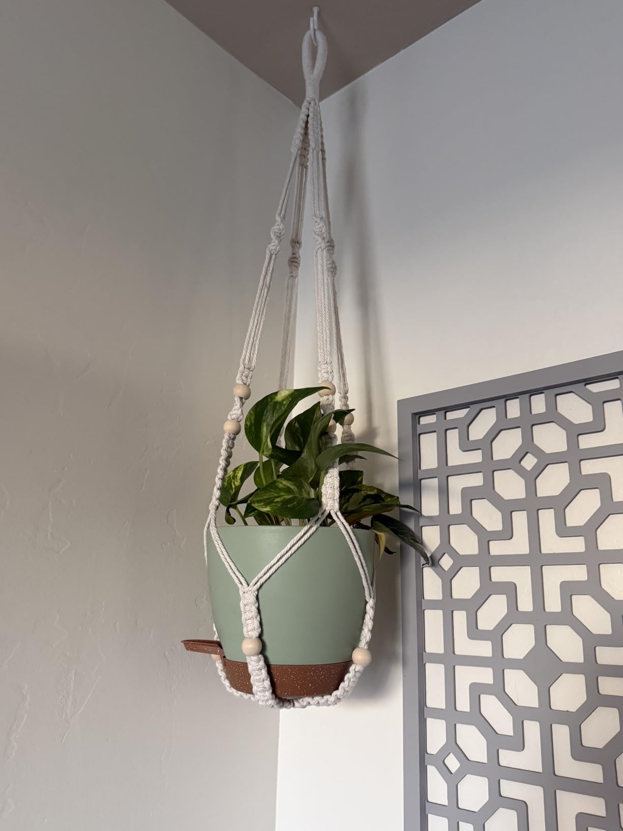 Bouqlife 3 Set Self Watering Hanging Planters for Indoor Plants customer photo 2