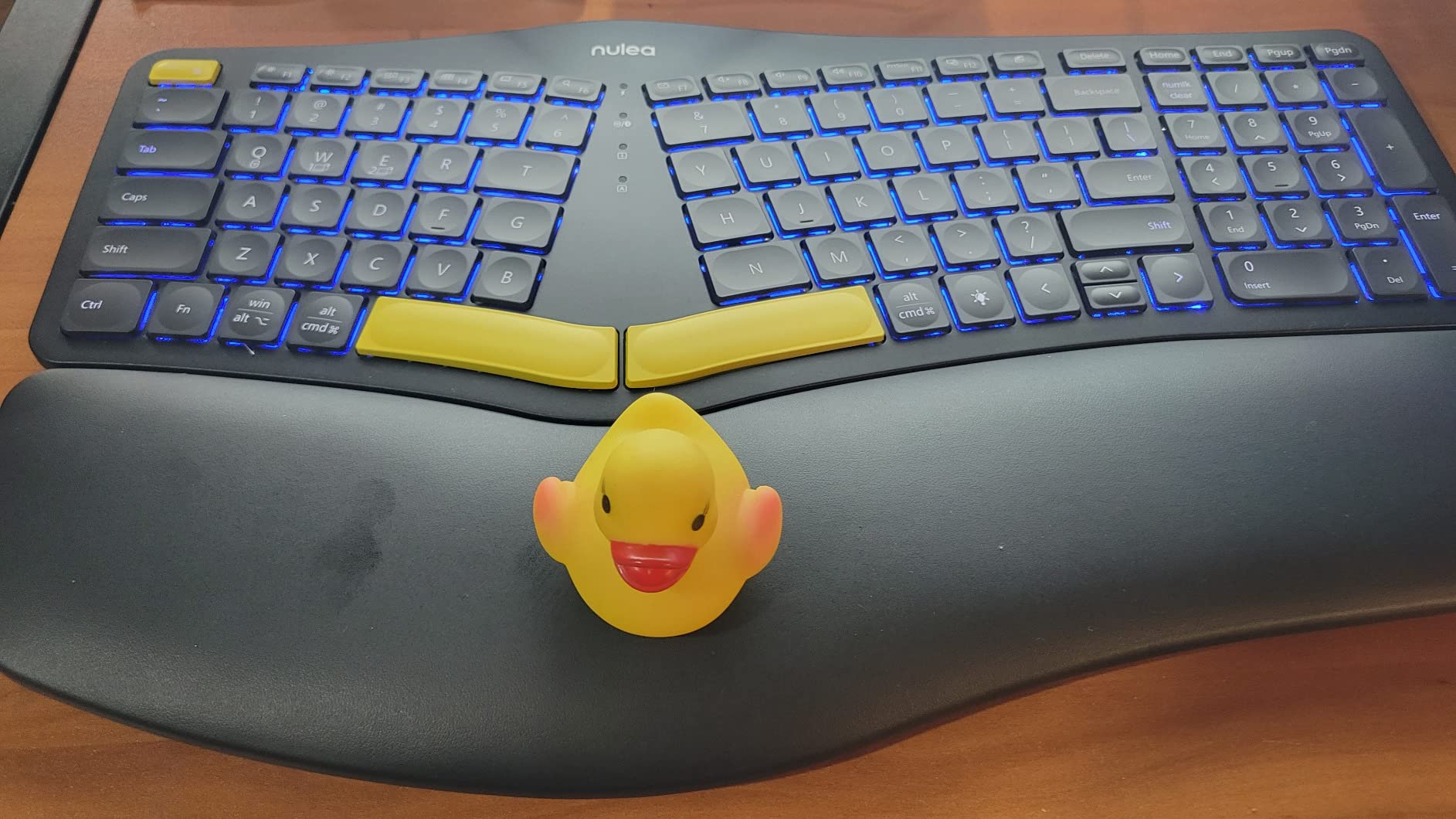Nulea Ergonomic Split Keyboard Wireless with Wrist Rest 7 Color Backlight | Bluetooth 2.4G Keyboard with USB-C Charging, 3 Device Switching, Adjustable Tilt Legs Compatible for Windows and Mac customer photo 1