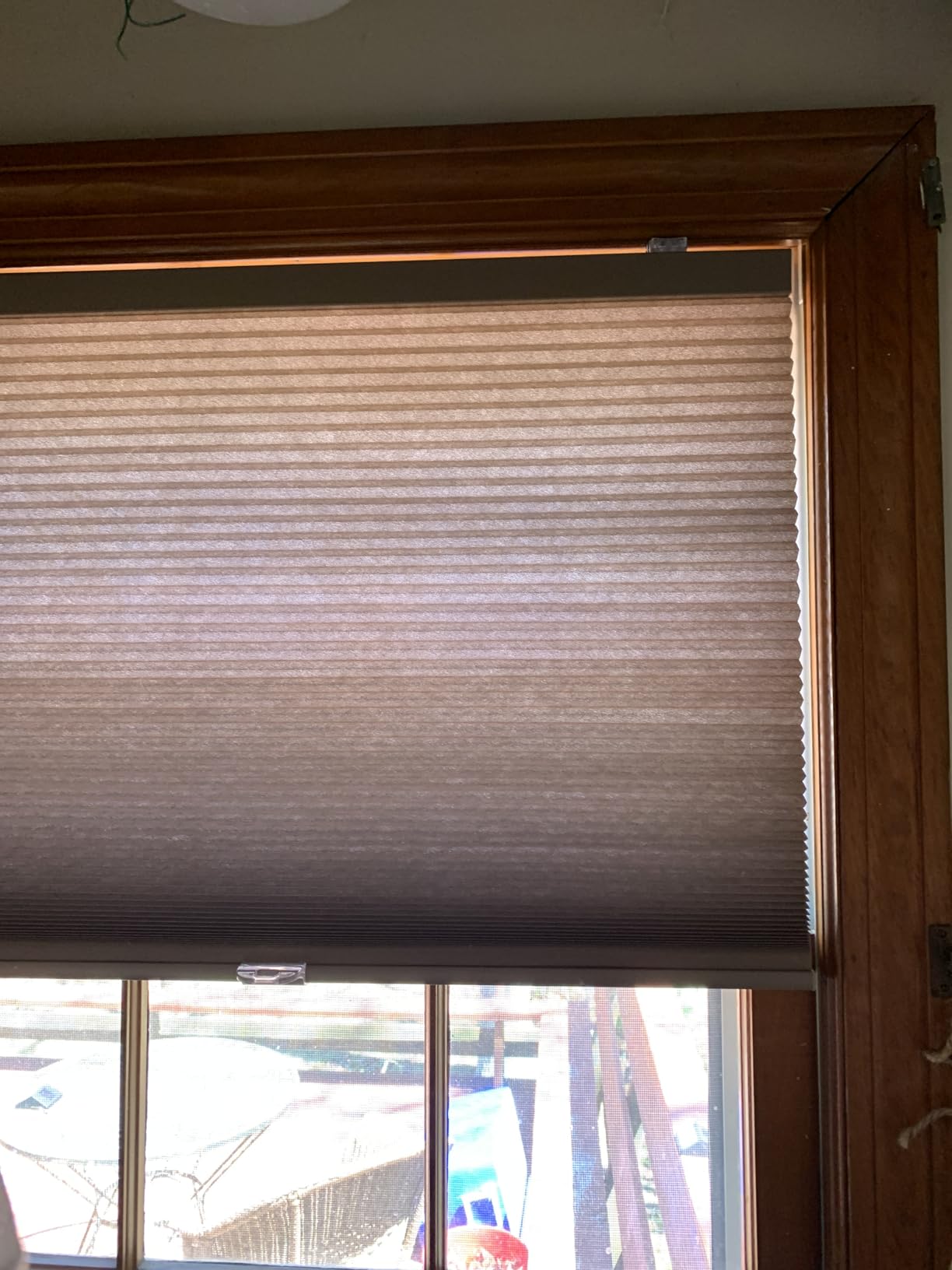 LazBlinds Cordless Cellular Shades, 34'' W x 36'' H, White customer photo 1