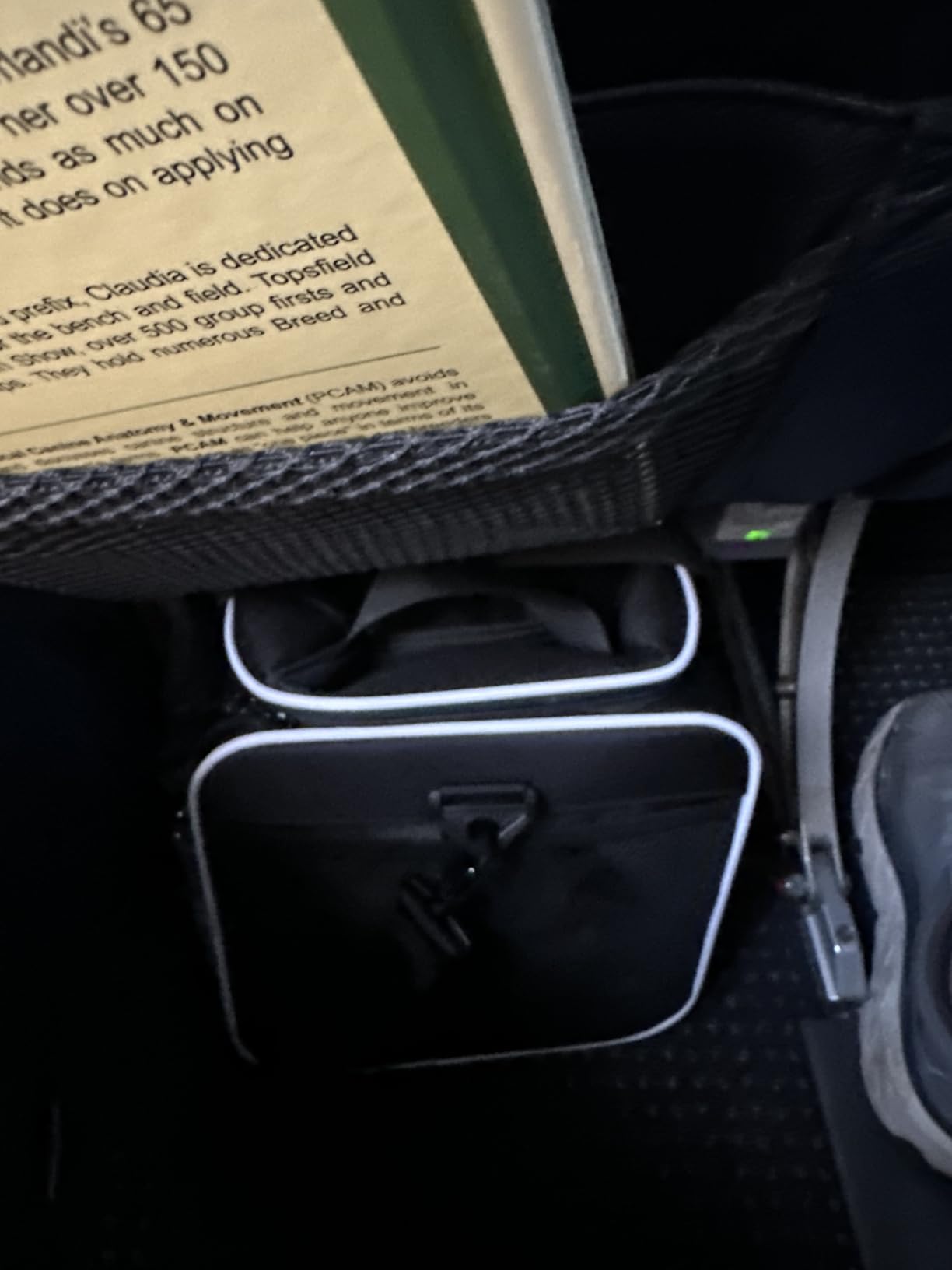 Petskd Top-Expandable Small Pet Carrier 18