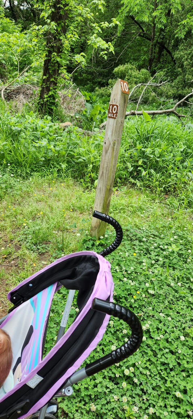 Disney Baby Character Umbrella Stroller, Eye-catching, Fun, 3D Stroller, Minnie Play All Day customer photo 1