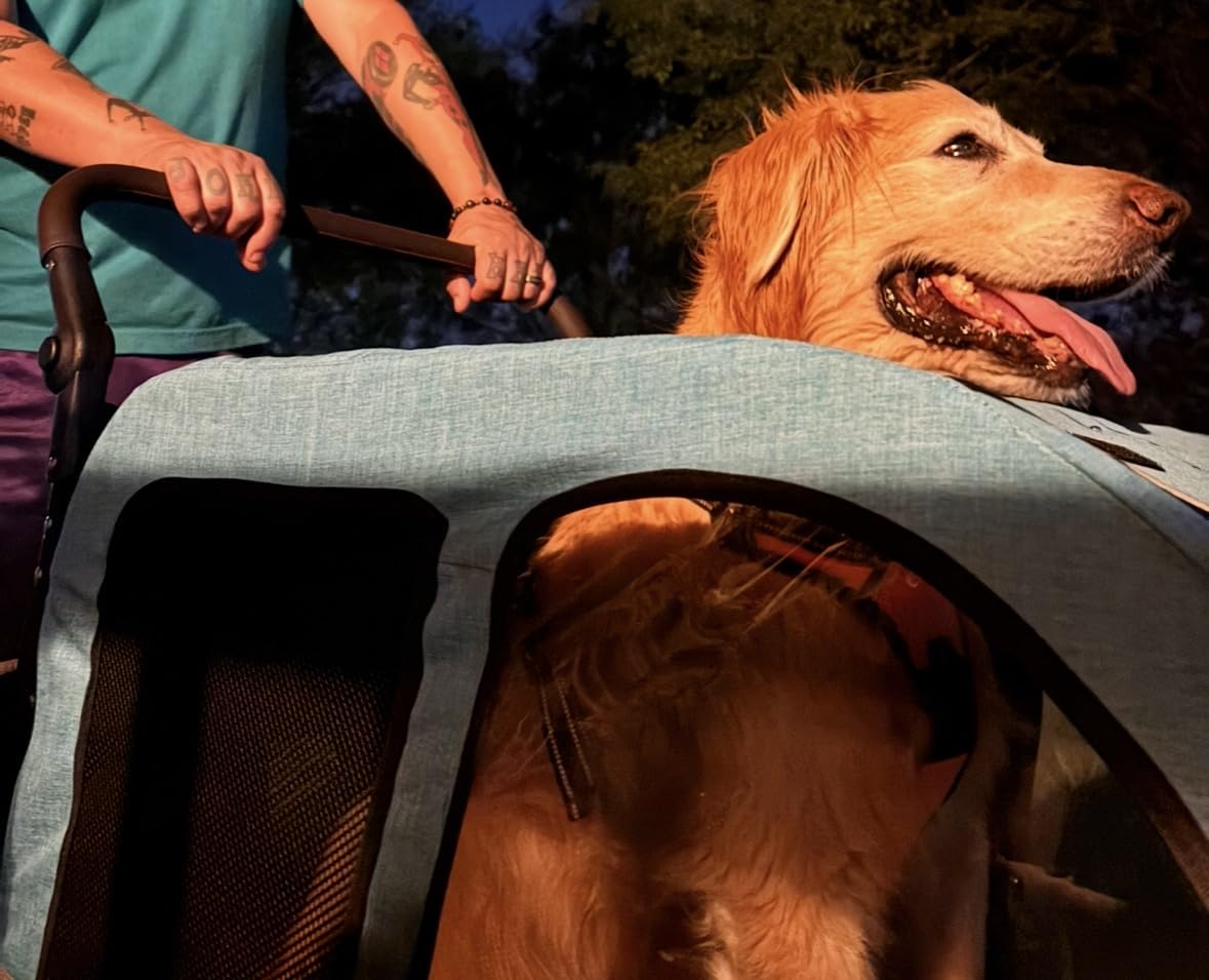Saudism Dog Stroller for Large & Medium Dogs, Extra Large Pet Stroller, Dog Wagon for 2 Dogs, Foldable Design, Adjustable Handle, with Pocket, Up to 130 lbs customer photo 1
