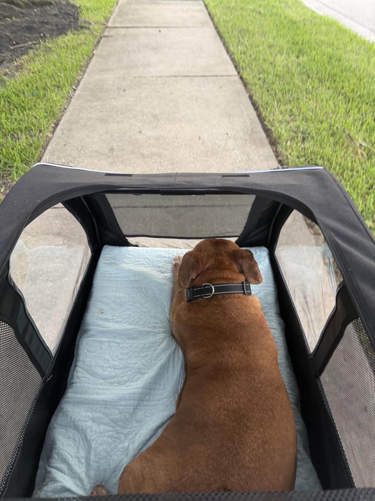 Saudism Dog Stroller for Large & Medium Dogs, Extra Large Pet Stroller, Dog Wagon for 2 Dogs, Foldable Design, Adjustable Handle, with Pocket, Up to 130 lbs customer photo 2