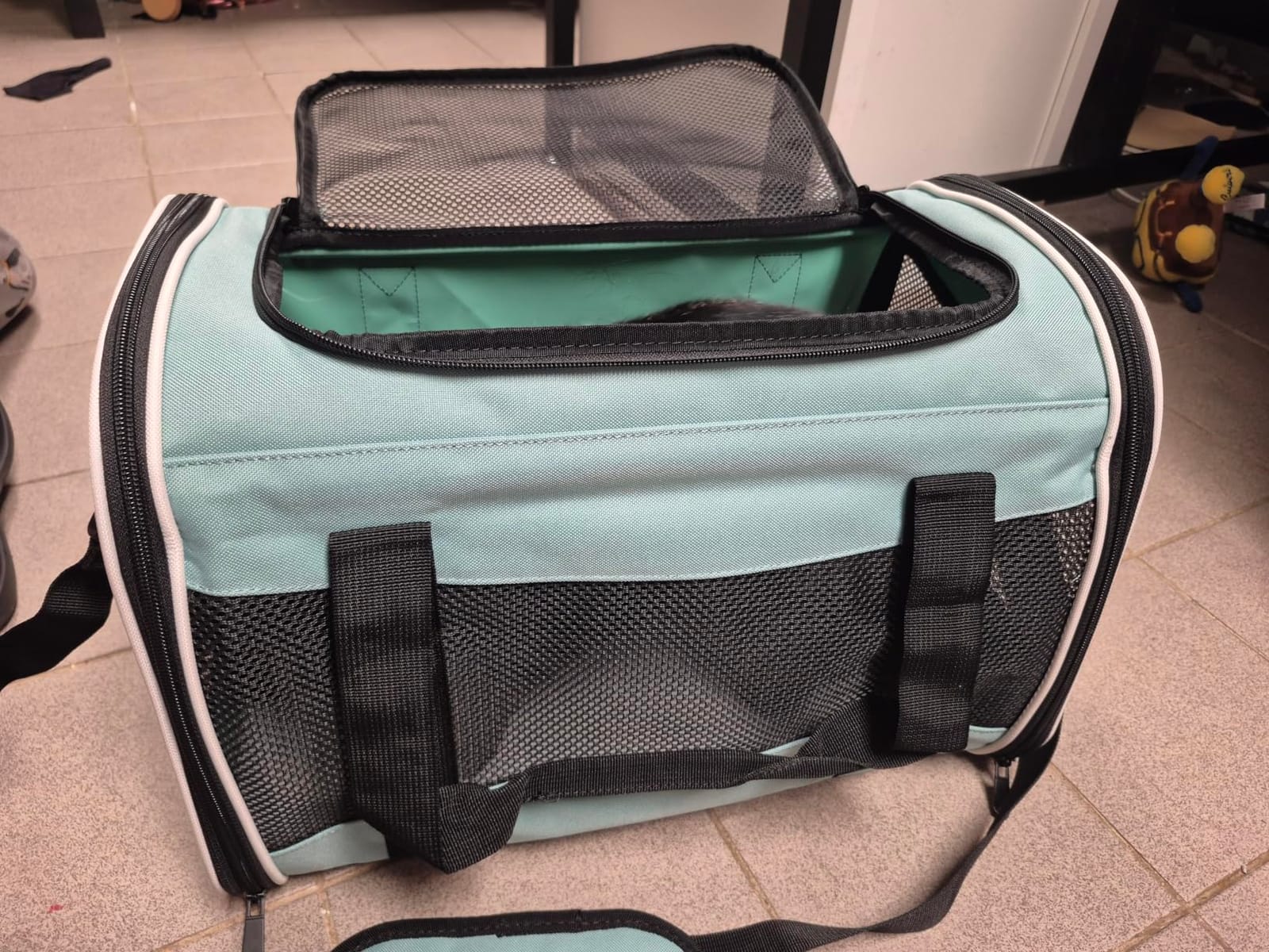 Cat Dog Carriers Soft-Sided Pet Carrier Large Cats for Medium Big Cat Small Dog Puppy up to 16lbs TSA Airline Approved Animal Collapsible Cat Carrier Carriers Travel Carrier Cat Bag (17x11x11) customer photo 1