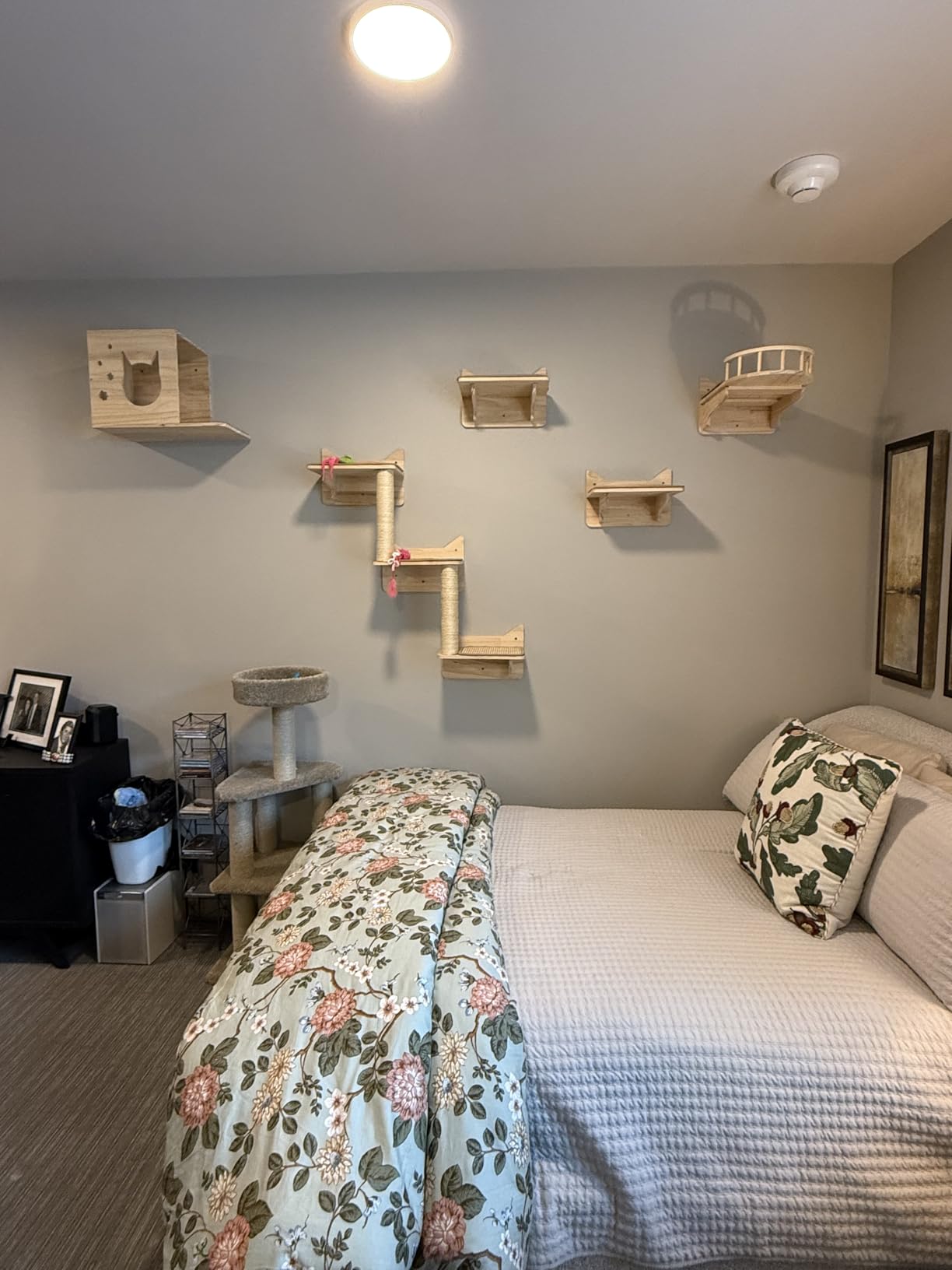 Cat Wall Shelves, 9-Piece Cat Wall Furniture for Large Cats customer photo 2