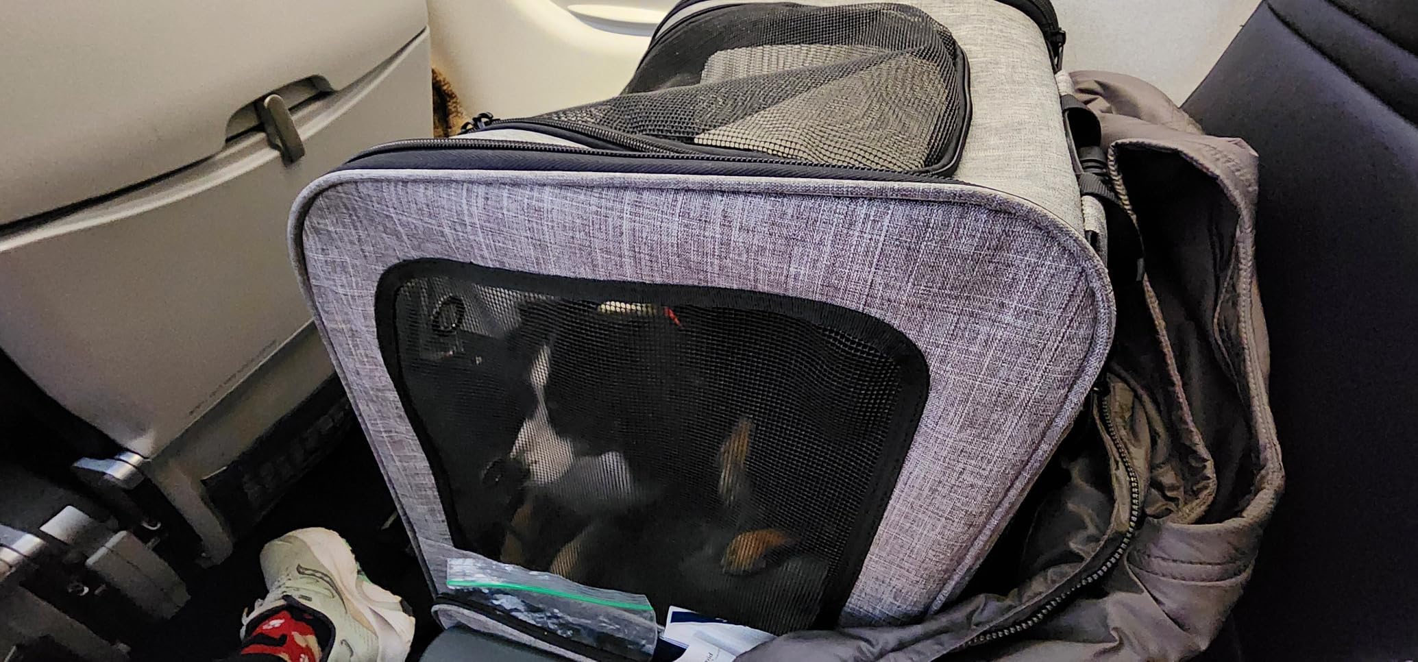 Extra Large Cat Backpack Carrier with Wheels for Cats Under 30 Lbs customer photo 2