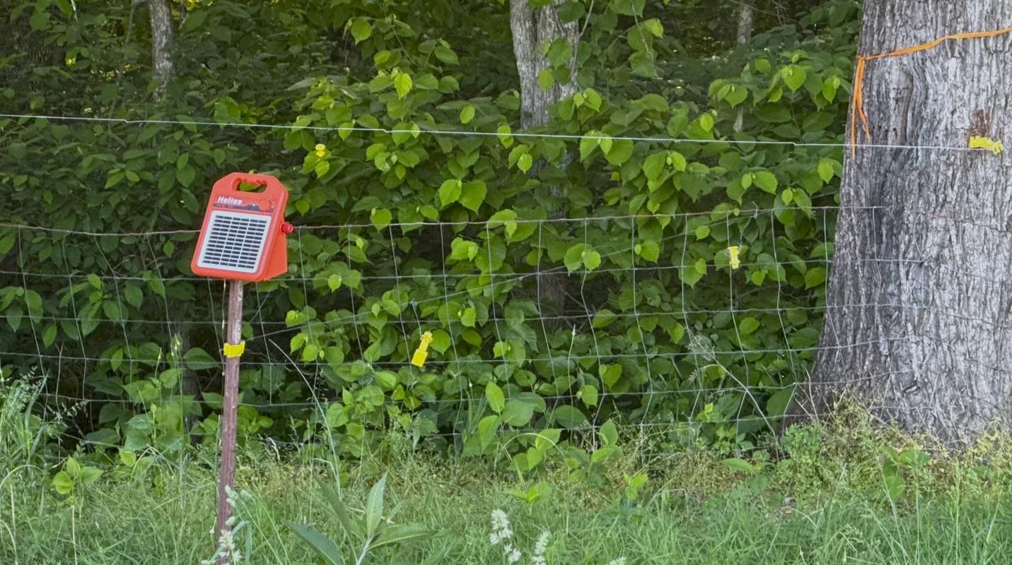 ANDMON MINI400 30 Miles Solar Electric Fence Charger, 0.4 Joule Solar Electric Fence for Livestock, Horses, Cattle Sheep, Solar Fence Charger with Day or Night Mode, Easy Installation customer photo 1