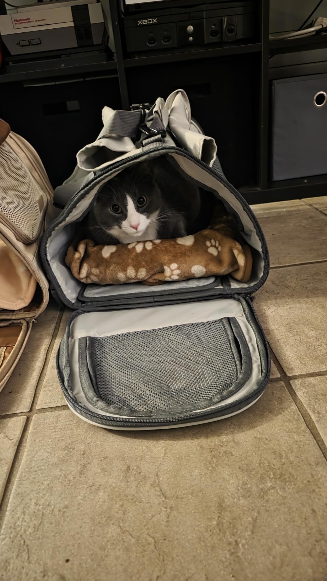 FUKUMARU Cat Carrier, Airline Approved Dog Carrier with Rollable Cover customer photo 1
