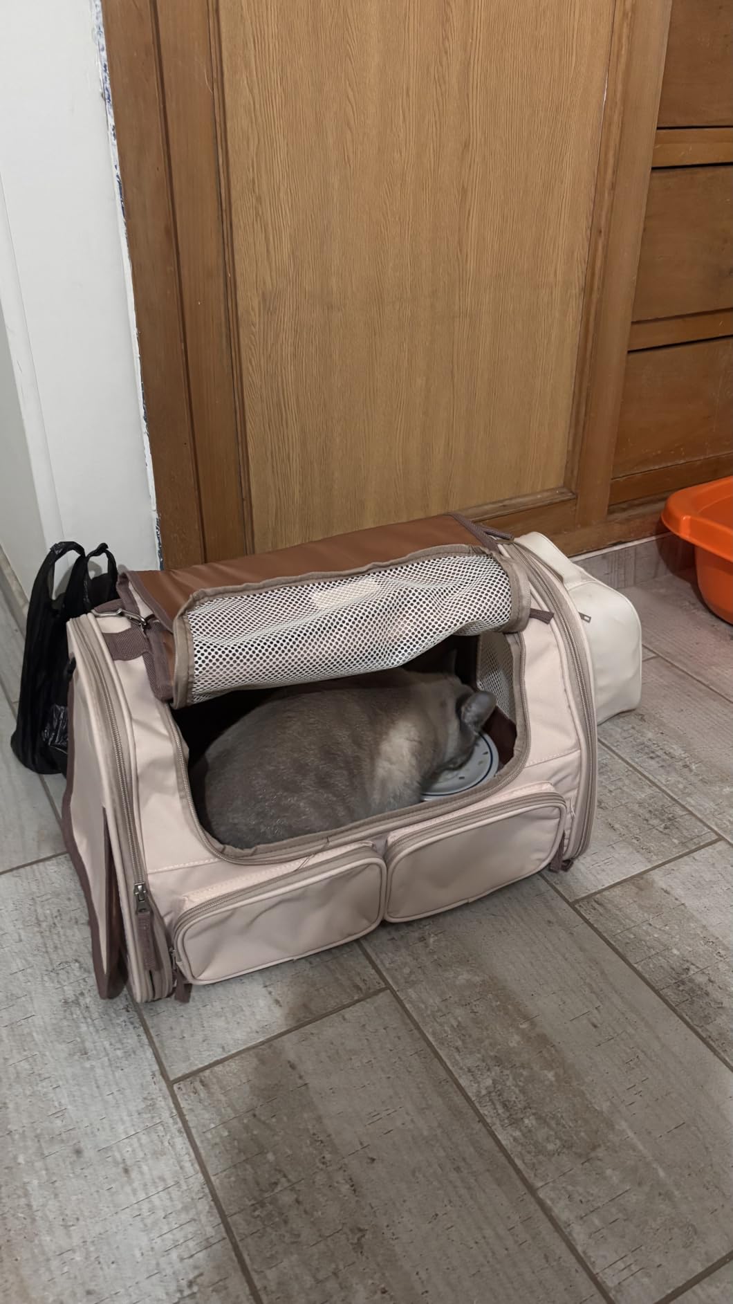 FUKUMARU Cat Carrier, Airline Approved Dog Carrier with Rollable Cover customer photo 2