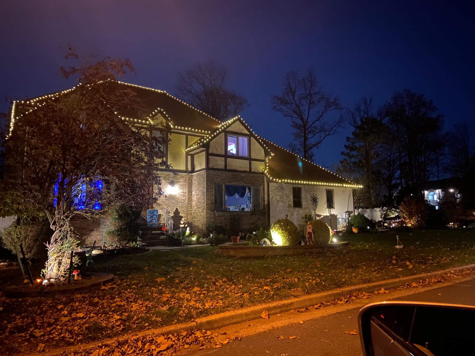 TW SHINE C9 Christmas Lights, 100 LED 66 FT Christmas String Lights Outdoor with 8 Modes Timer Waterproof Connectable for Indoor Yard Xmas Tree House Decorations (Warm White) customer photo 1