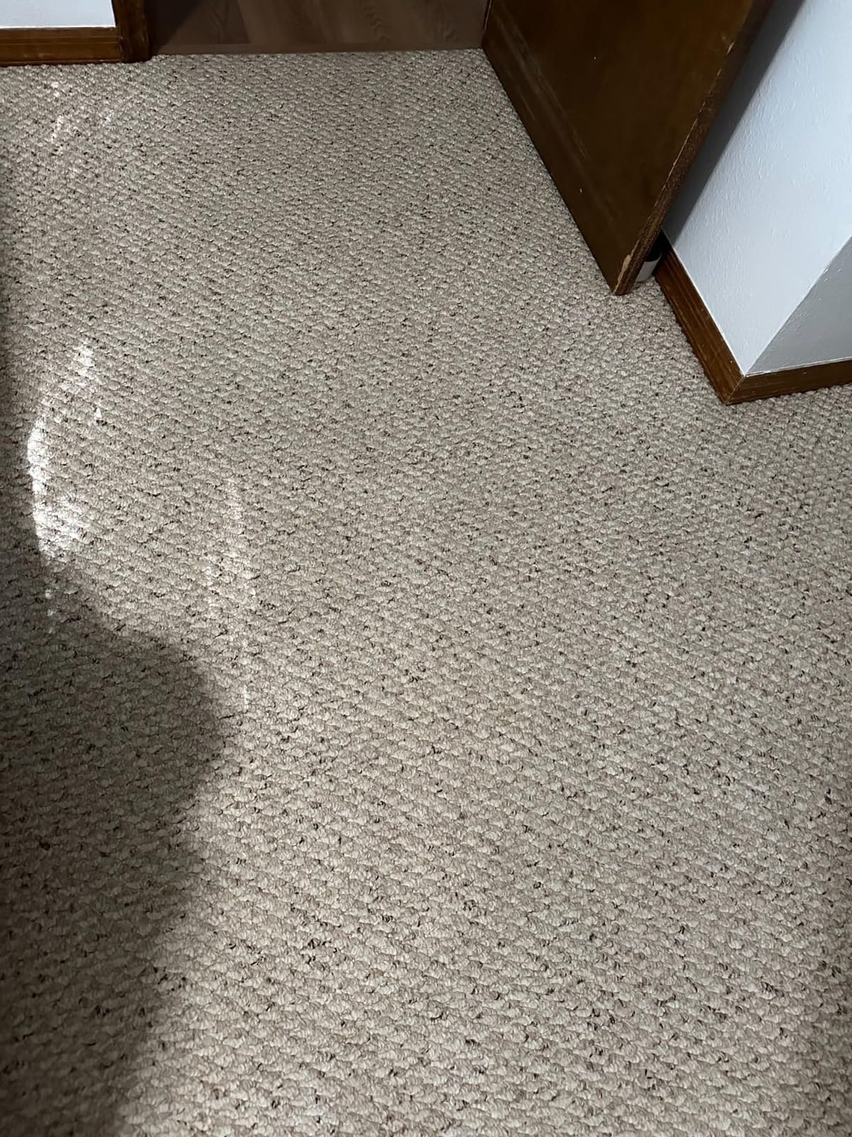 Shark CarpetXpert StainStriker Carpet & Upholstery Cleaner, 3 Tools, EX201 customer photo 1