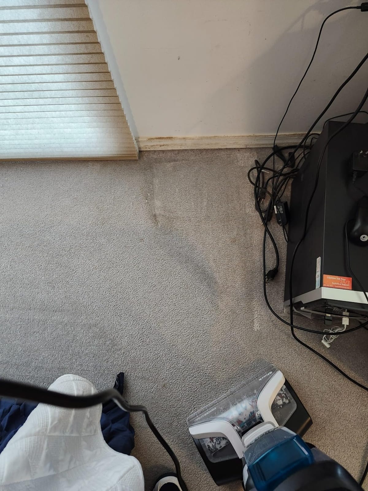 Shark CarpetXpert StainStriker Carpet & Upholstery Cleaner, 3 Tools, EX201 customer photo 2