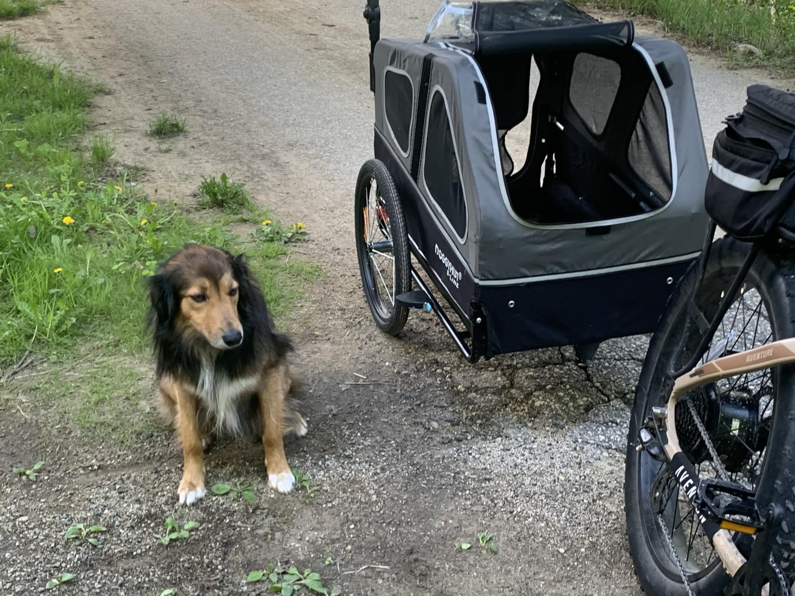 DOGGYHUT® S-Line XL Pet Bike Trailer & Stroller for Large Dogs Up to 100 lbs, Folding Dog Cart with Shock-Absorbing Suspension Wheels, Low Center of Gravity, Parking Brakes customer photo 2