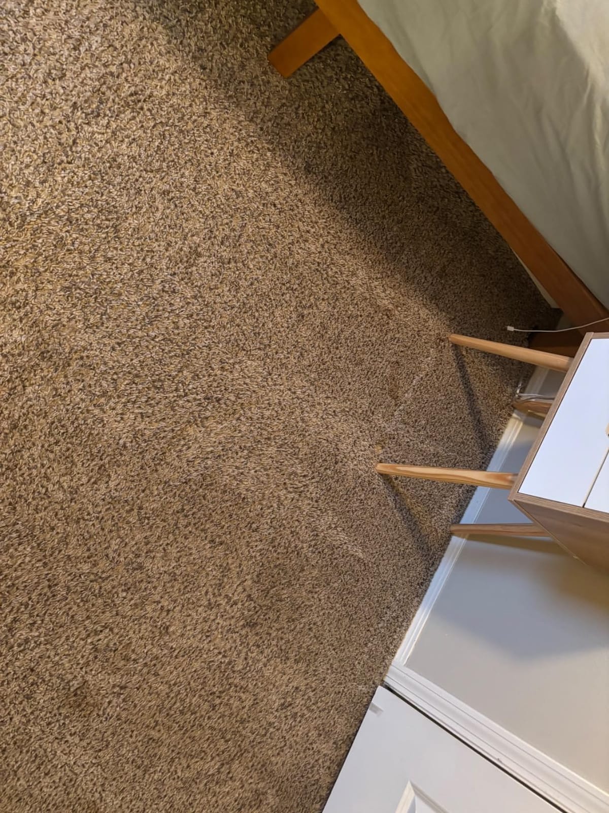 BISSELL TurboClean Pet XL Upright Carpet Cleaner, 3746 customer photo 1