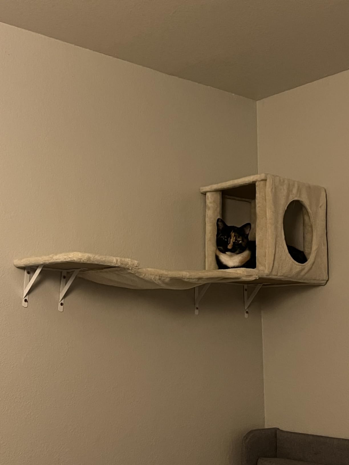 NUNU LAB Cat Wall Shelves, 6 Pcs Luxury Wall-Mounted Cat Climber Set, Dark Gray customer photo 2