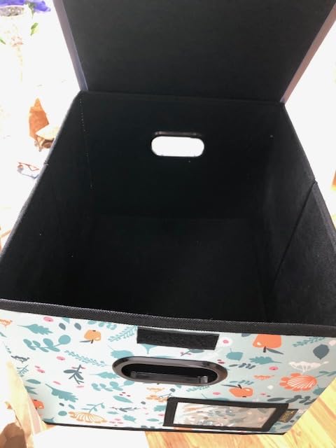 BALEINE File Organizer Box with Lid, Collapsible Hanging File Storage Box | Smooth Plastic Rails, Textured Fabric Exterior, Collapsible Hanging File Folder Box for Office Document Storage customer photo 2