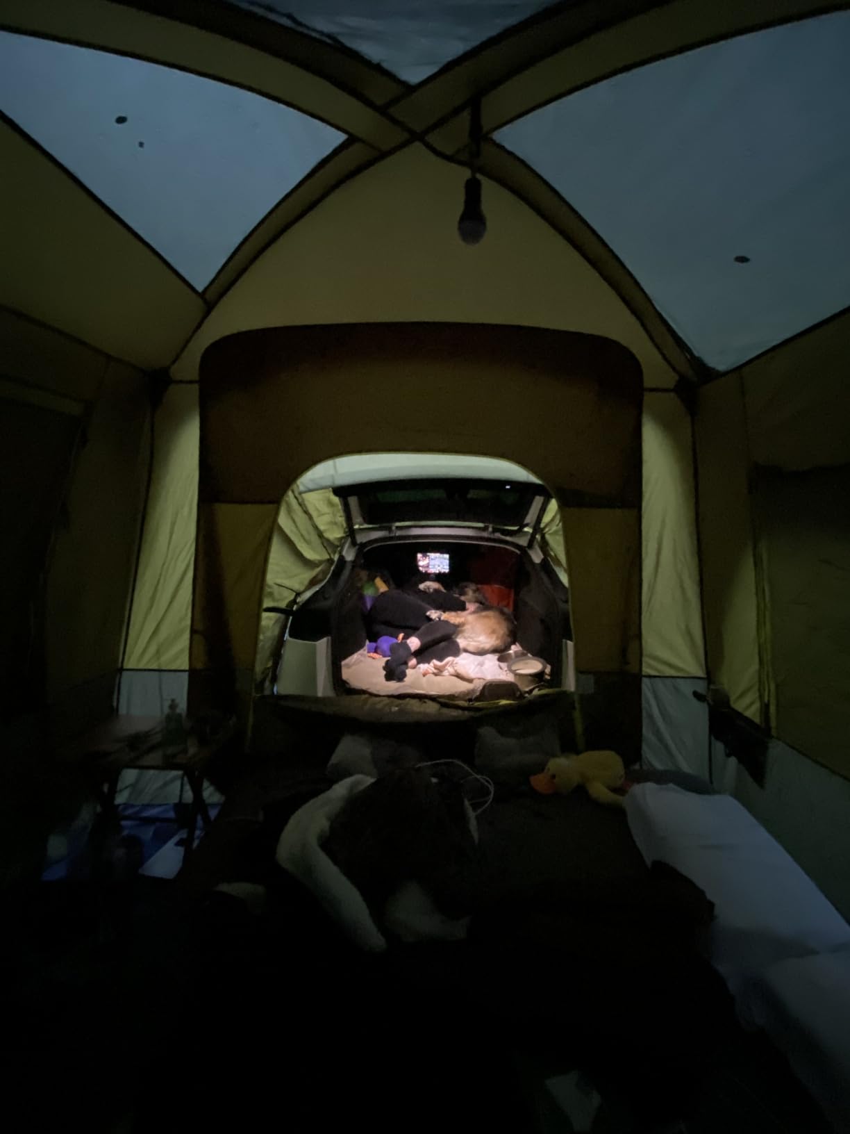 Timber Ridge Truck-Bed-Tents SUV Camping Tent customer photo 1