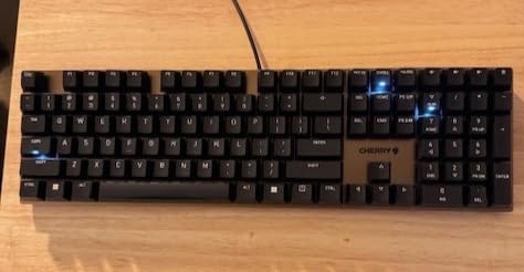 Cherry KC 200 MX Wired Mechanical Office Keyboard MX2A Brown Switches customer photo 1