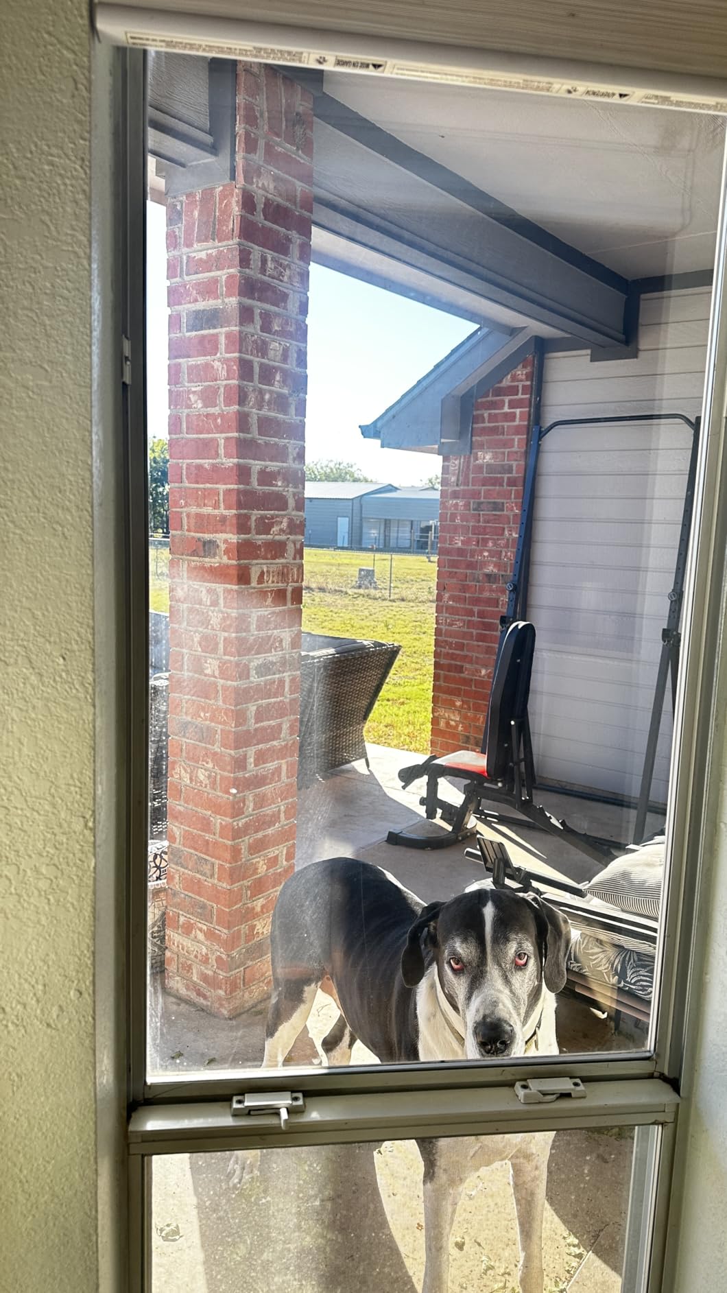 Kärcher Electric Window Vacuum WV 1 Plus, Ideal for Showers, Mirrors, Glass customer photo 1