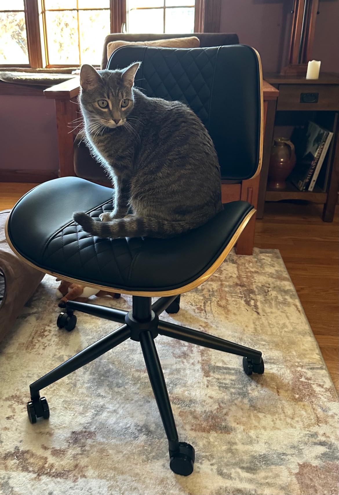 Home Office Chair No Arms with Wheels, Adjustable Height Small Desk Chair, PU Leather Mid Back 360 Swivel Computer Chair, Armless Modern Walnut Chair for Office, Reading Meeting Room(Beige) customer photo 2
