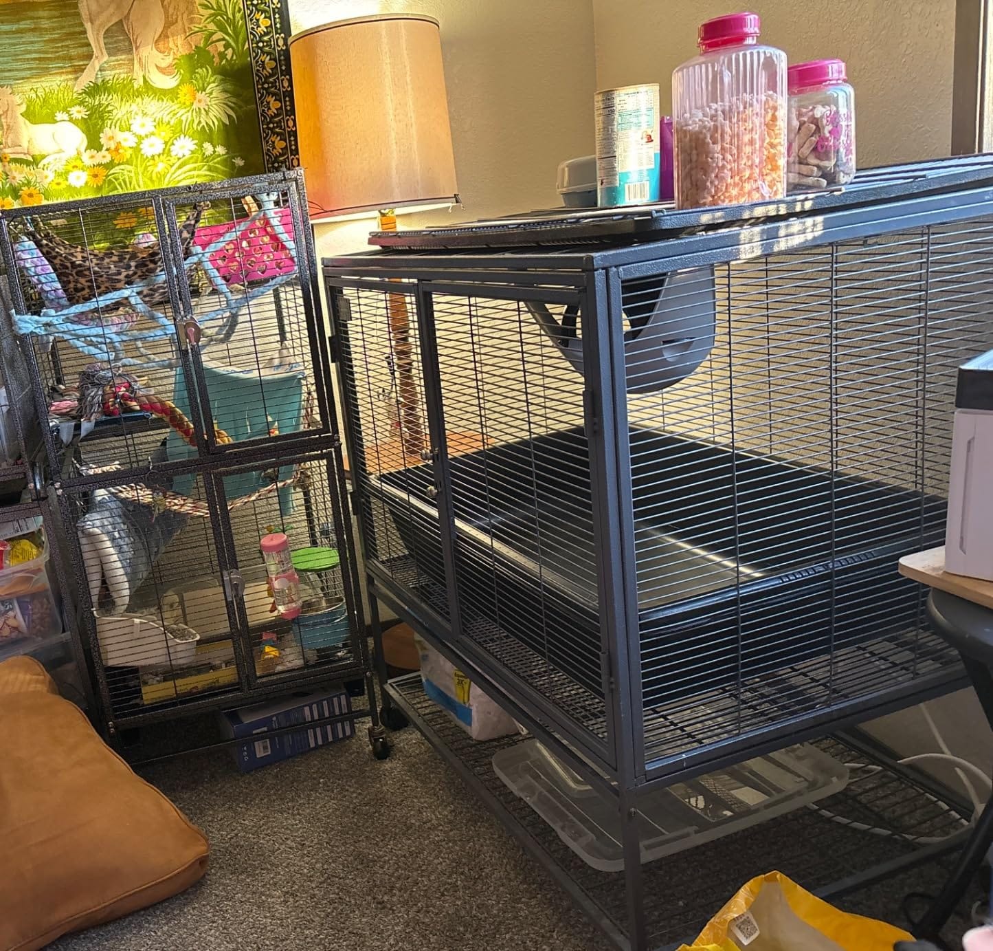 Deluxe Sturdy Wrought Iron Two Tiers Small Animal Critters Rolling Cage customer photo 1