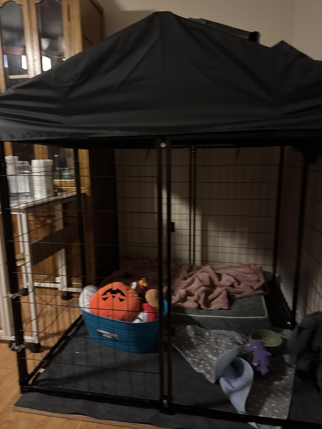 Dog Kennel Outside with Roof, 8'x6'x4' Outdoor Dog Kennel customer photo 1