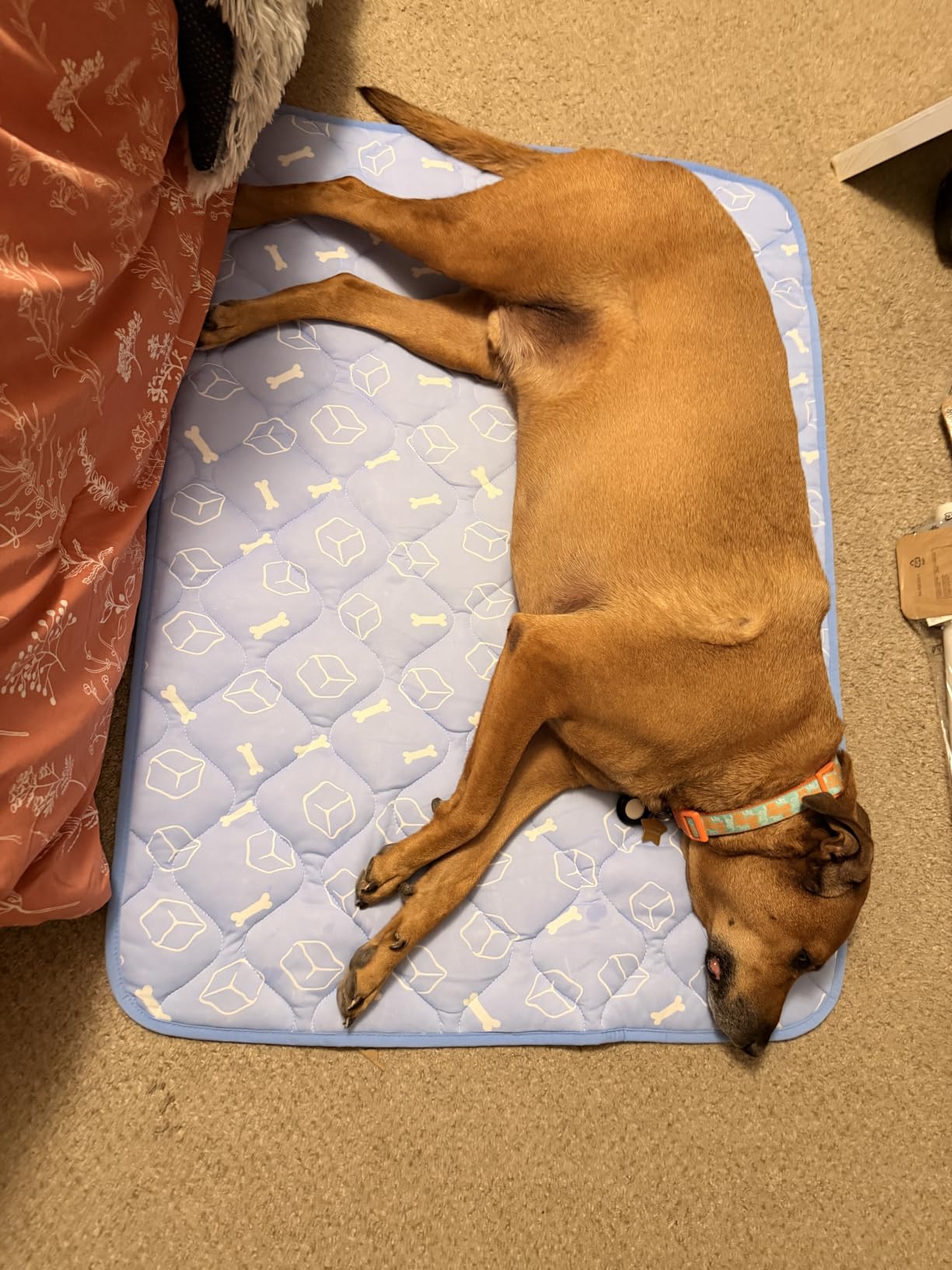 Rywell Dog Cooling Mat 2.0, Ocean Blue,44