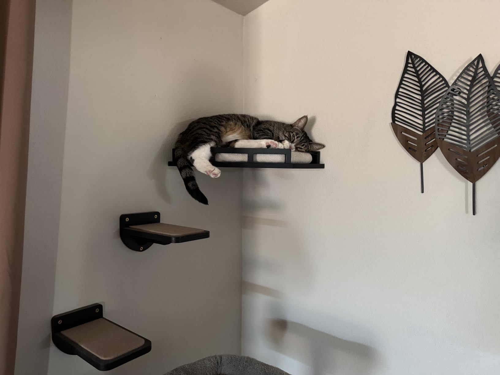 INICIO Cat Wall Shelves and Steps, 4-Piece Wooden Cat Wall Furniture Set customer photo 2