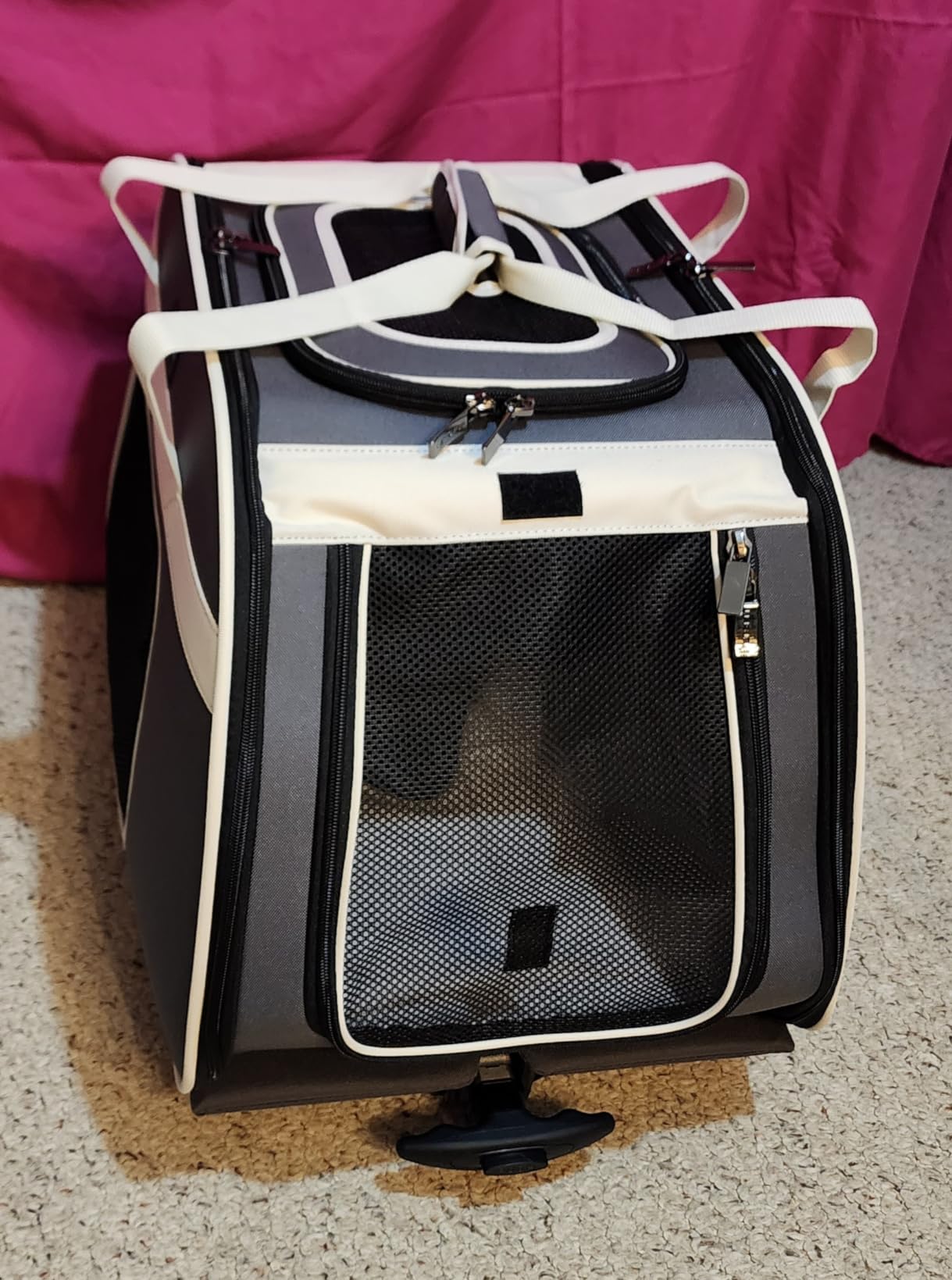 Petsfit Cat Carrier with Wheels, Removable Spinner Wheels, Up to 13 lb customer photo 1