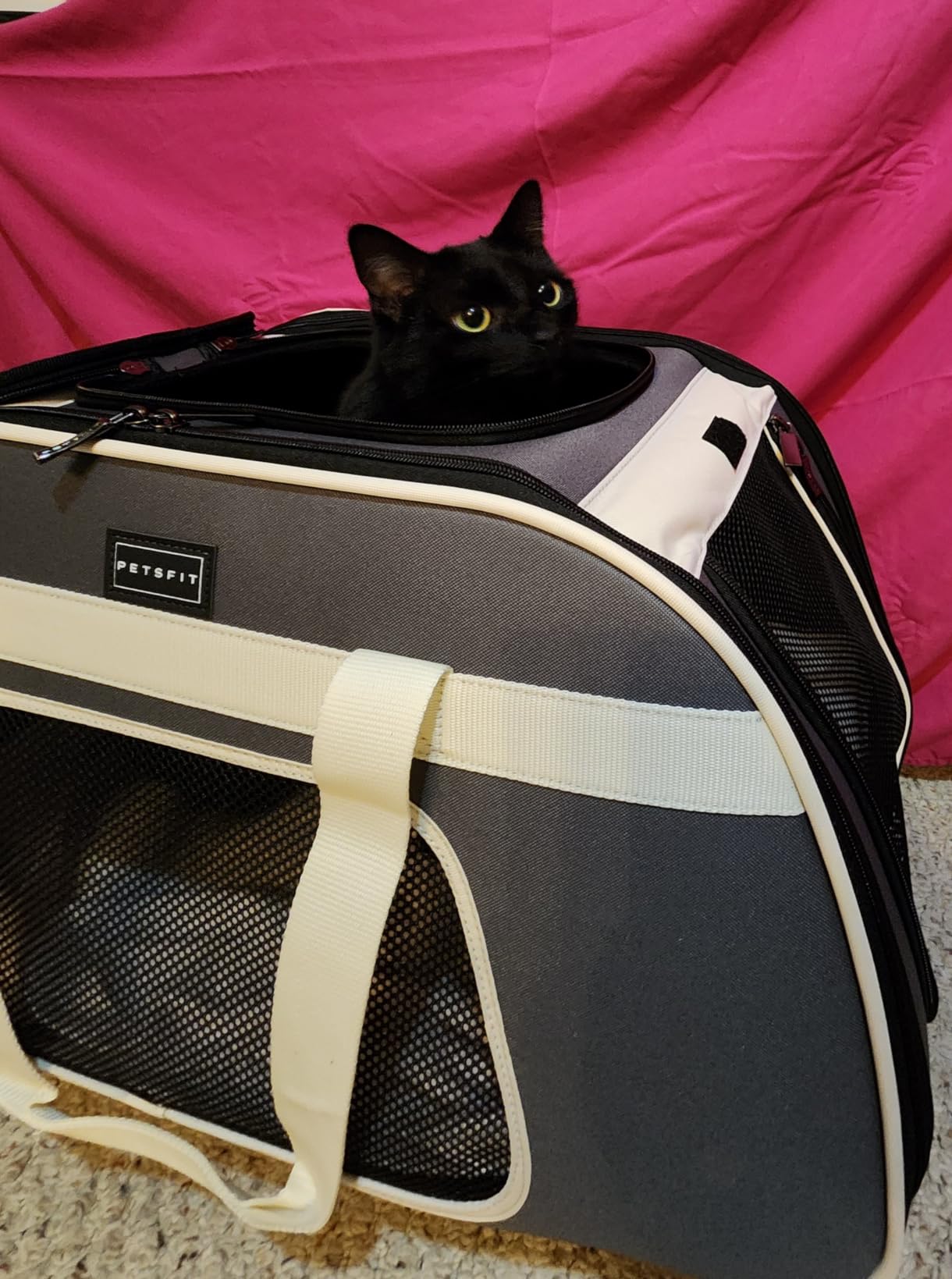 Petsfit Cat Carrier with Wheels, Removable Spinner Wheels, Up to 13 lb customer photo 2
