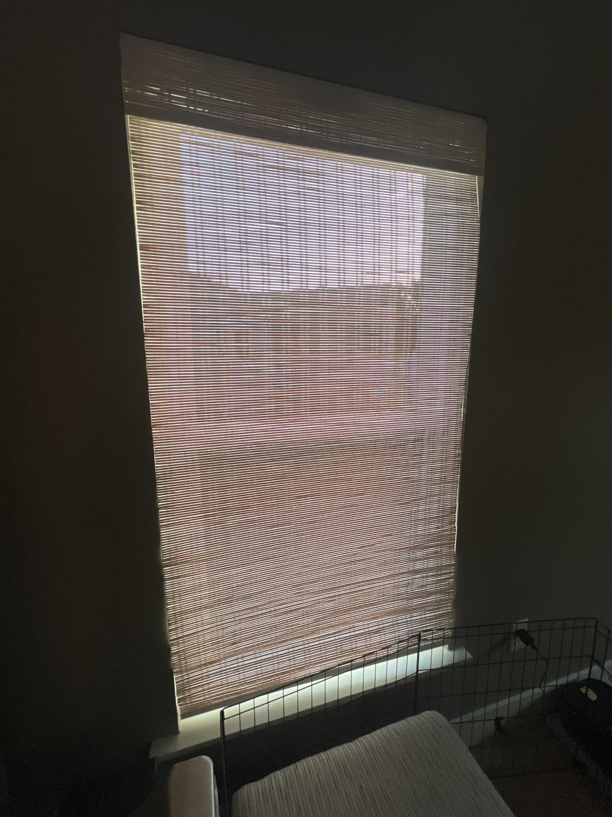 LazBlinds No Drill Bamboo Roman Shades, 34x64, Ceylon Light Russet customer photo 1