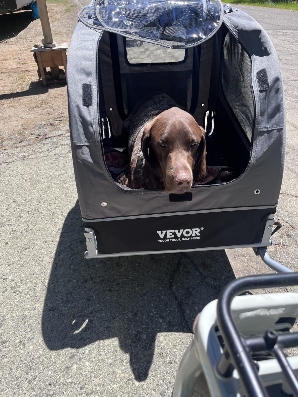 VEVOR Dog Bike Trailer, Supports up to 88 lbs, Pet Cart Bicycle Carrier, Easy Folding Frame with Quick Release Wheels, Universal Bicycle Coupler, Reflectors, Flag, Collapsible to Store customer photo 2