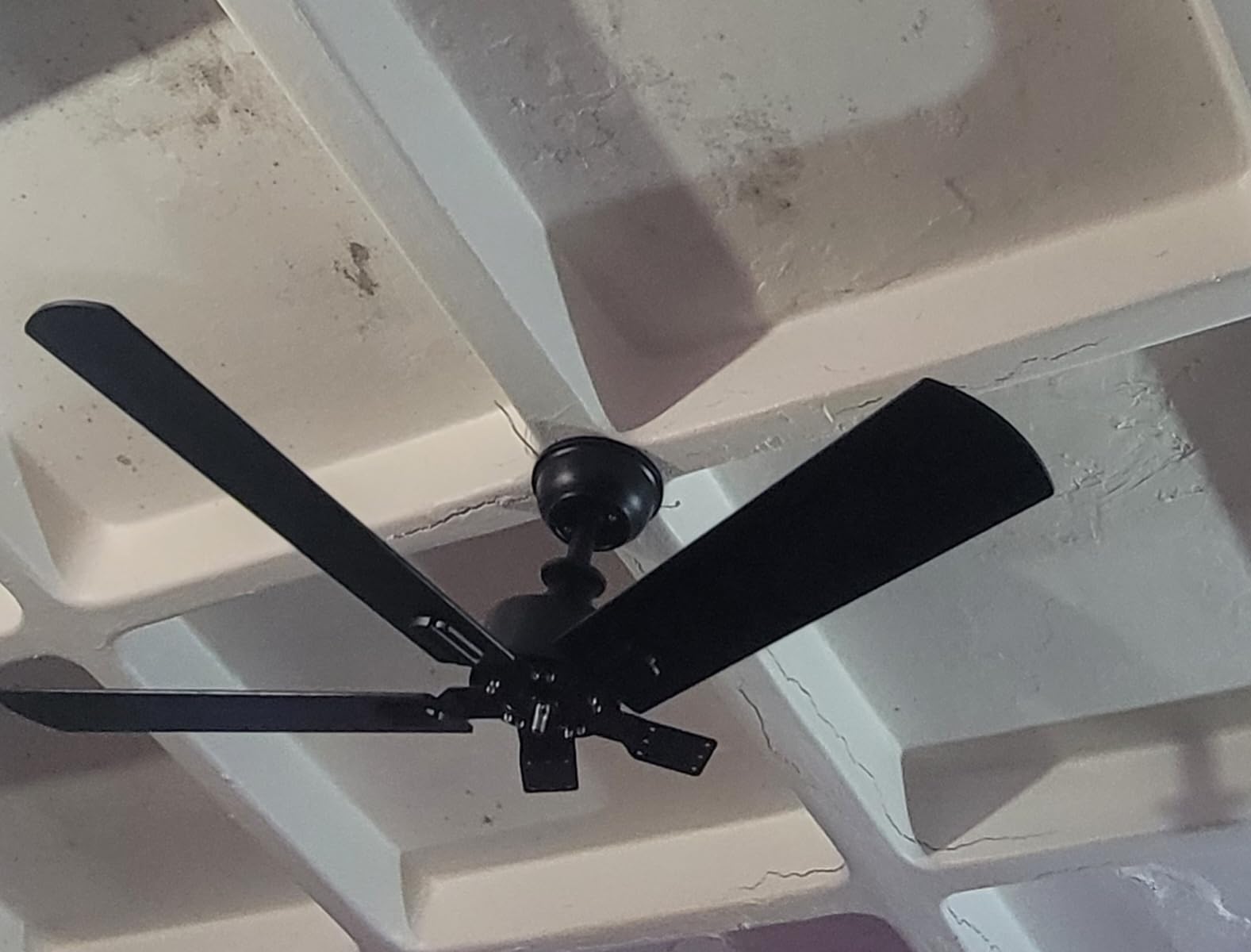 Obabala Outdoor Ceiling Fan No Light, 60 Inch Black Modern Ceiling Fan Without Light, Dual Finish 5 Blades,6 Speed, Reversible Quiet DC Motor for Patios, Garage, Bedroom, Porch customer photo 1
