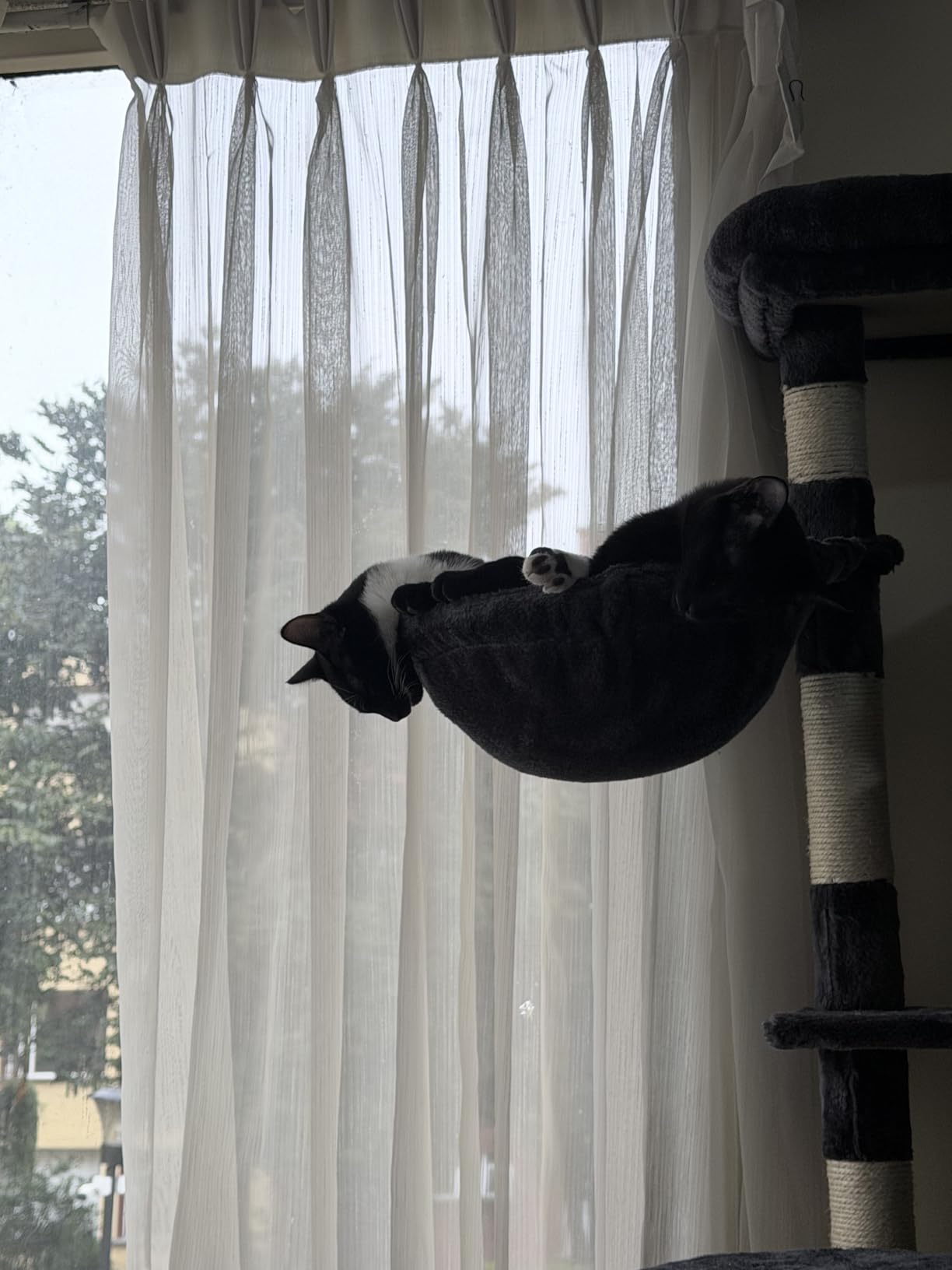 Hey-brother Cat Tree, Multi-Level Tower with 3 Condos, Hairbrush, MPJ035-MG customer photo 1