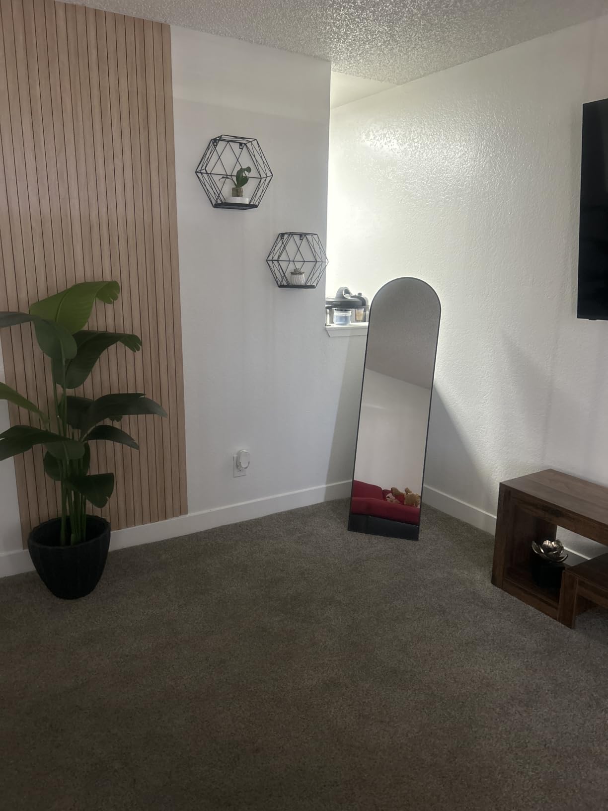 Delma Arched Full Length Mirror with Stand, Black Floor Mirror customer photo 2