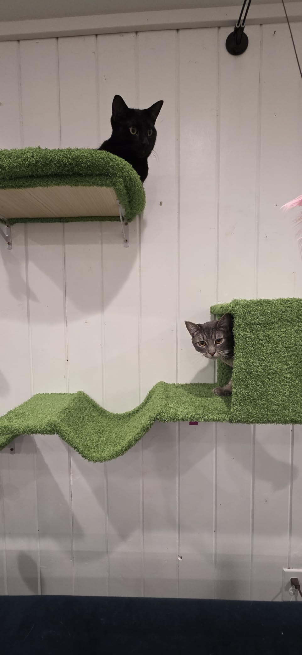 FUKUMARU Cat Wall Shelves, 4 in 1 Set, Grey customer photo 1