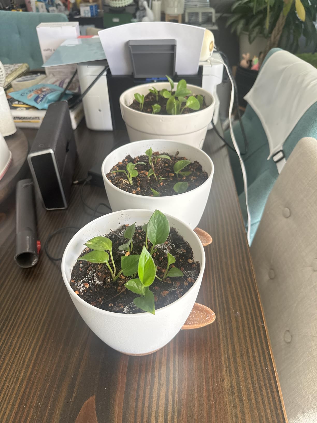 QRRICA Plant Pots 10/9/8/7.5/7 Inch Self Watering Pots, Set of 5 Plastic Planters with Drainage Holes and Saucers,Plastic Flower Pots,Nursery Planting Pot for Indoor Out Door Plants(All Black) customer photo 1