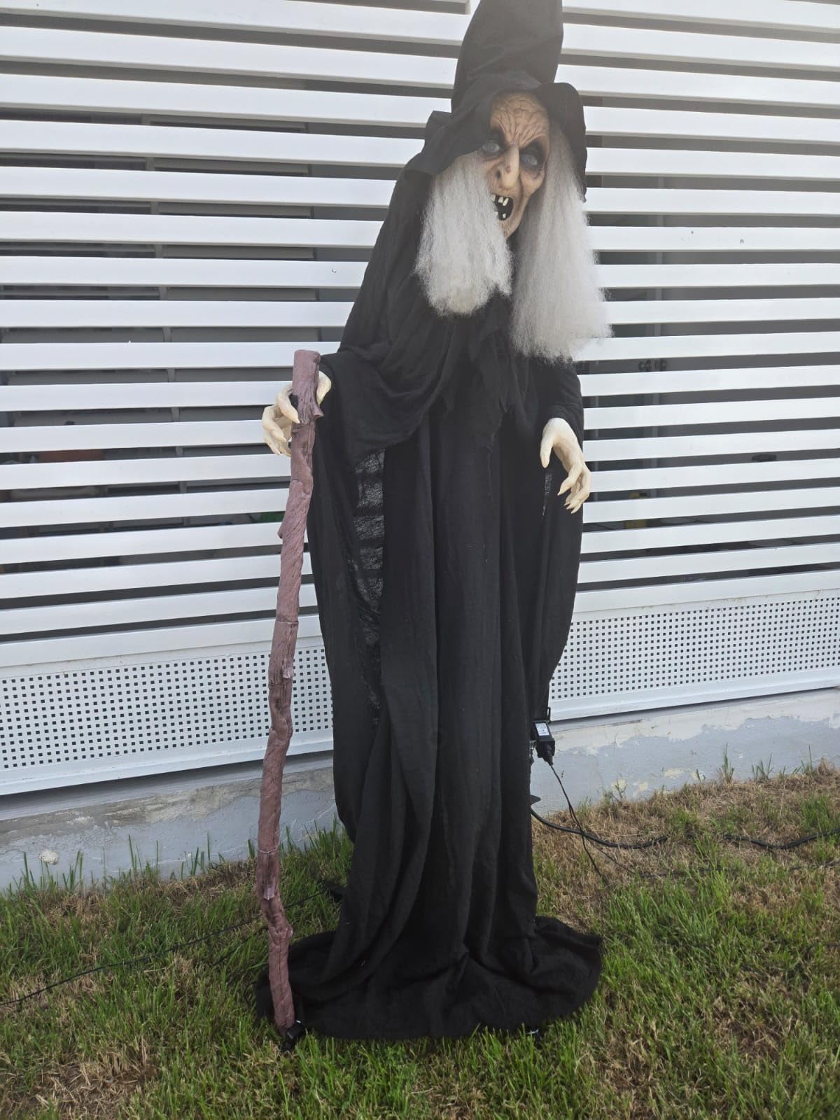 JOYIN Outdoor Halloween Decorations Animatronics Witch with Cane, Life Size Animated Ghost Haunted House Prop Décor with Creepy Sound and Light-up Eyes, Party Supplies customer photo 1