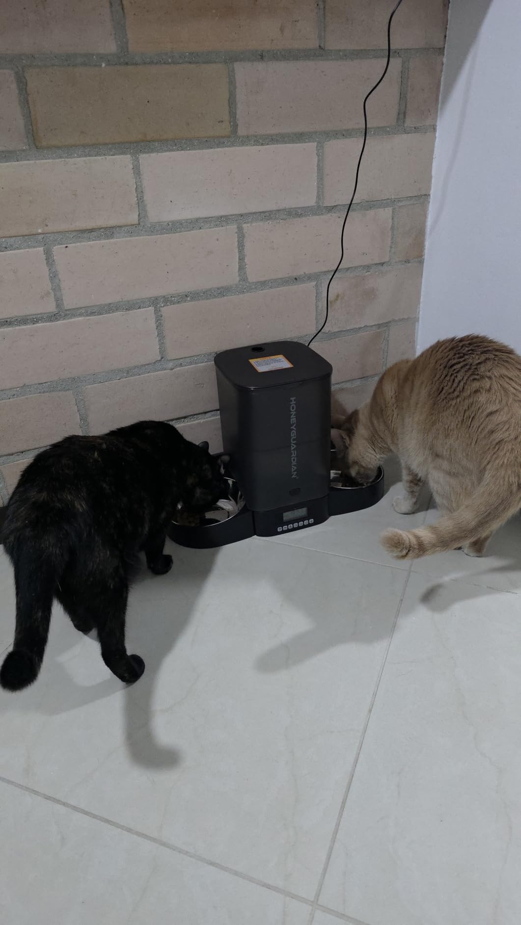 HoneyGuaridan Automatic Cat Feeder for 2 Cats,Cat Food Dispenser customer photo 1
